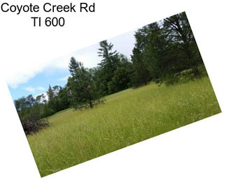 Coyote Creek Rd Tl 600