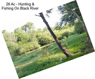 26 Ac - Hunting & Fishing On Black River