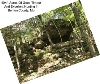 40+/- Acres Of Good Timber And Excellent Hunting In Benton County, Mo