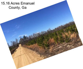 15.16 Acres Emanuel County, Ga