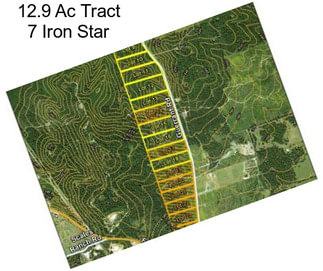 12.9 Ac Tract 7 Iron Star