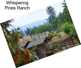 Whispering Pines Ranch