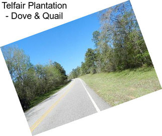 Telfair Plantation - Dove & Quail