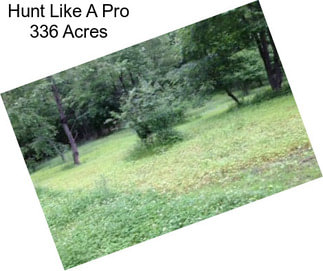 Hunt Like A Pro 336 Acres