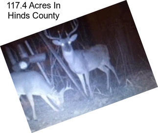 117.4 Acres In Hinds County