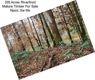 335 Acres Riverfront Mature Timber For Sale Npsd, Sw Ms