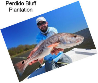 Perdido Bluff Plantation