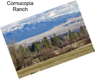 Cornucopia Ranch