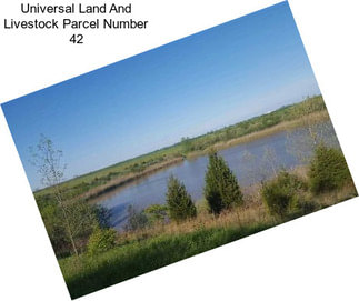 Universal Land And Livestock Parcel Number 42