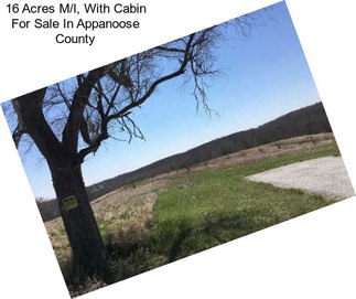 16 Acres M/l, With Cabin For Sale In Appanoose County