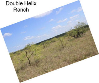 Double Helix Ranch