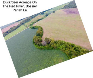 Duck/deer Acreage On The Red River, Bossier Parish La