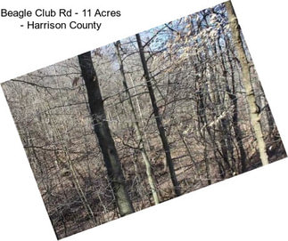 Beagle Club Rd - 11 Acres - Harrison County