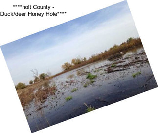 ****holt County - Duck/deer Honey Hole****