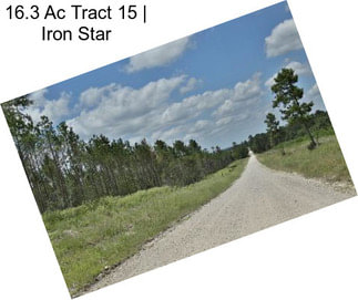 16.3 Ac Tract 15 | Iron Star