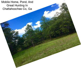Mobile Home, Pond, And Great Hunting In Chattahoochee Co, Ga