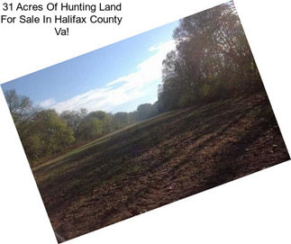 31 Acres Of Hunting Land For Sale In Halifax County Va!
