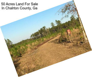 50 Acres Land For Sale In Chalrton County, Ga