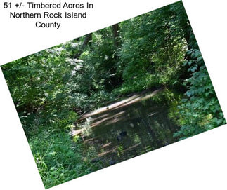 51 +/- Timbered Acres In Northern Rock Island County