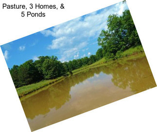 Pasture, 3 Homes, & 5 Ponds