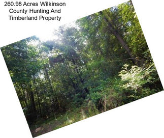 260.98 Acres Wilkinson County Hunting And Timberland Property