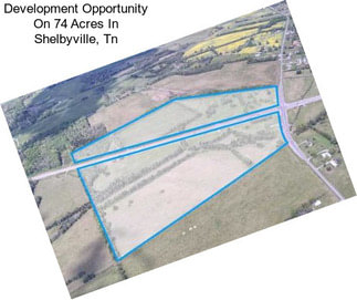 Development Opportunity On 74 Acres In Shelbyville, Tn
