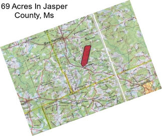 69 Acres In Jasper County, Ms