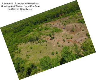 Reduced! 172 Acres Of Riverfront Hunting And Timber Land For Sale In Craven County Nc!