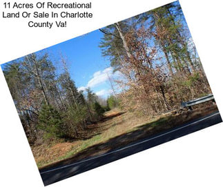 11 Acres Of Recreational Land Or Sale In Charlotte County Va!
