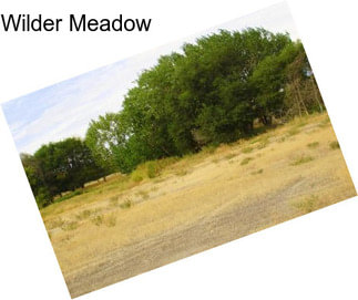 Wilder Meadow