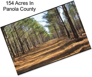 154 Acres In Panola County