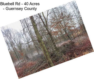 Bluebell Rd - 40 Acres - Guernsey County