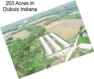 203 Acres In Dubois Indiana