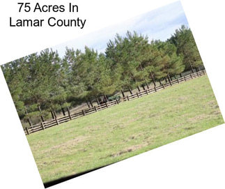 75 Acres In Lamar County