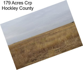 179 Acres Crp Hockley County