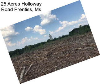 25 Acres Holloway Road Prentiss, Ms