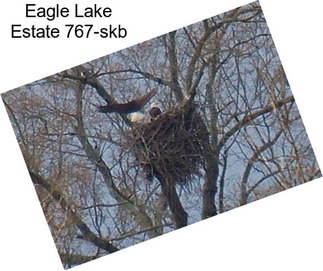 Eagle Lake Estate 767-skb