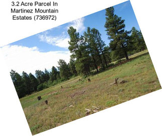 3.2 Acre Parcel In Martinez Mountain Estates (736972)