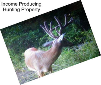 Income Producing Hunting Property