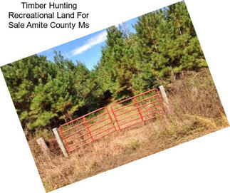 Timber Hunting Recreational Land For Sale Amite County Ms