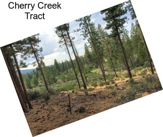 Cherry Creek Tract