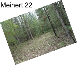 Meinert 22