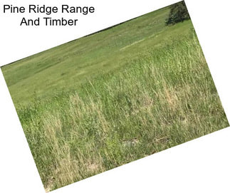 Pine Ridge Range And Timber