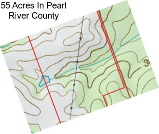 55 Acres In Pearl River County