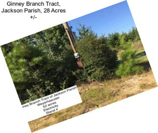 Ginney Branch Tract, Jackson Parish, 28 Acres +/-