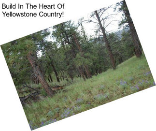 Build In The Heart Of Yellowstone Country!