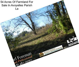 54 Acres Of Farmland For Sale In Avoyelles Parish La