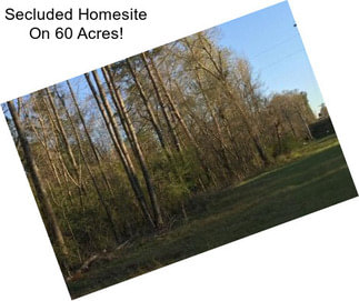 Secluded Homesite On 60 Acres!