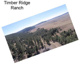 Timber Ridge Ranch