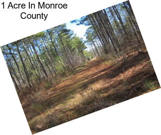 1 Acre In Monroe County